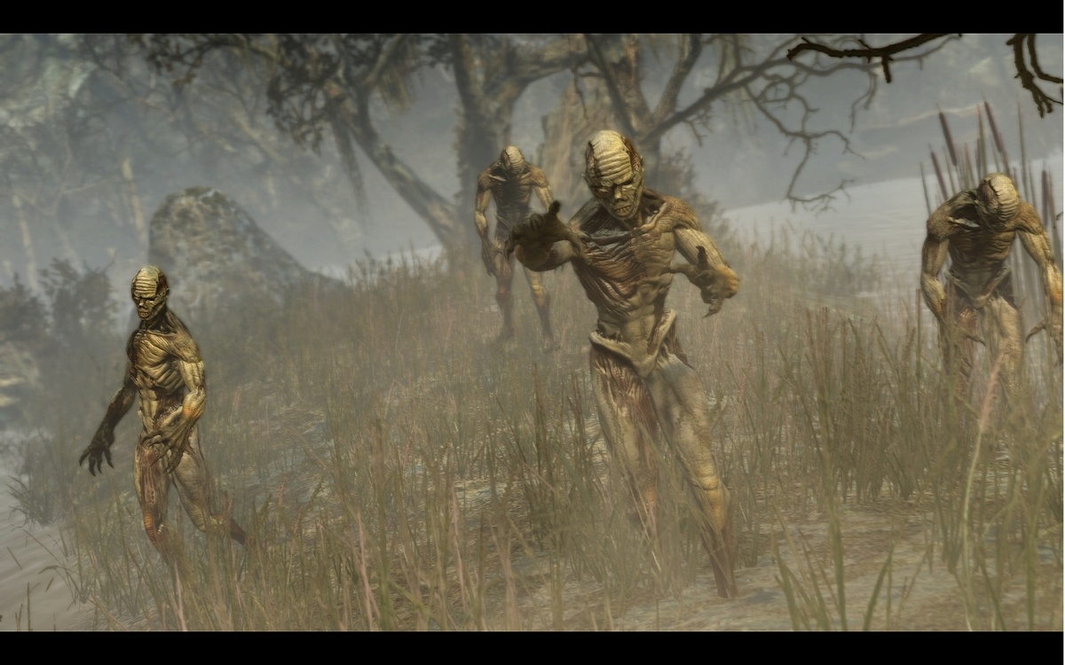 Скриншот из игры Two Worlds 2 - 95