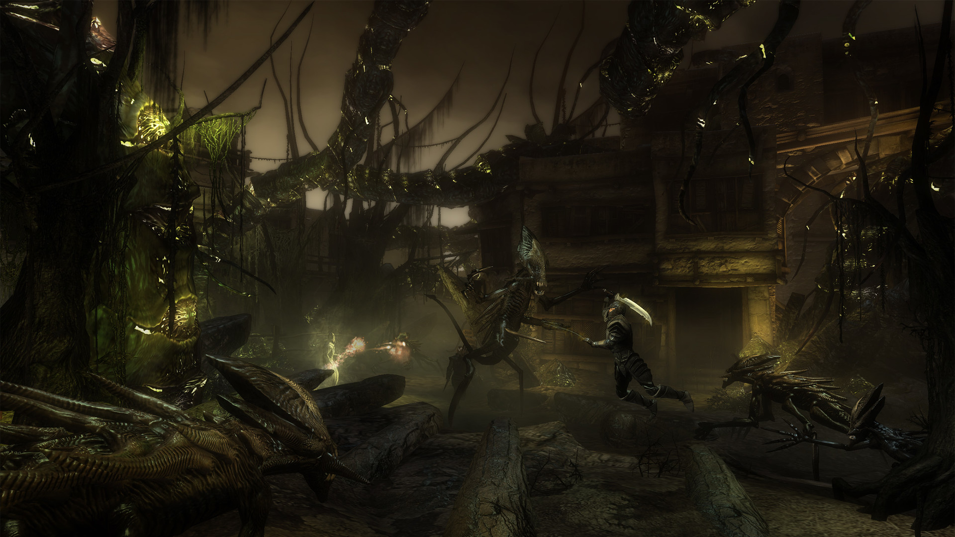 Скриншот из игры Two Worlds 2: Call of the Tenebrae - 5