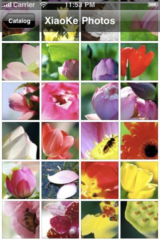 Скриншот из игры Flower Wall - 3