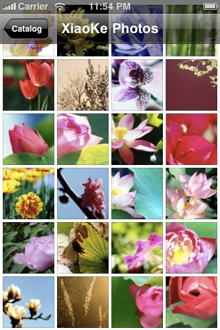 Скриншот из игры Flower Wall - 4