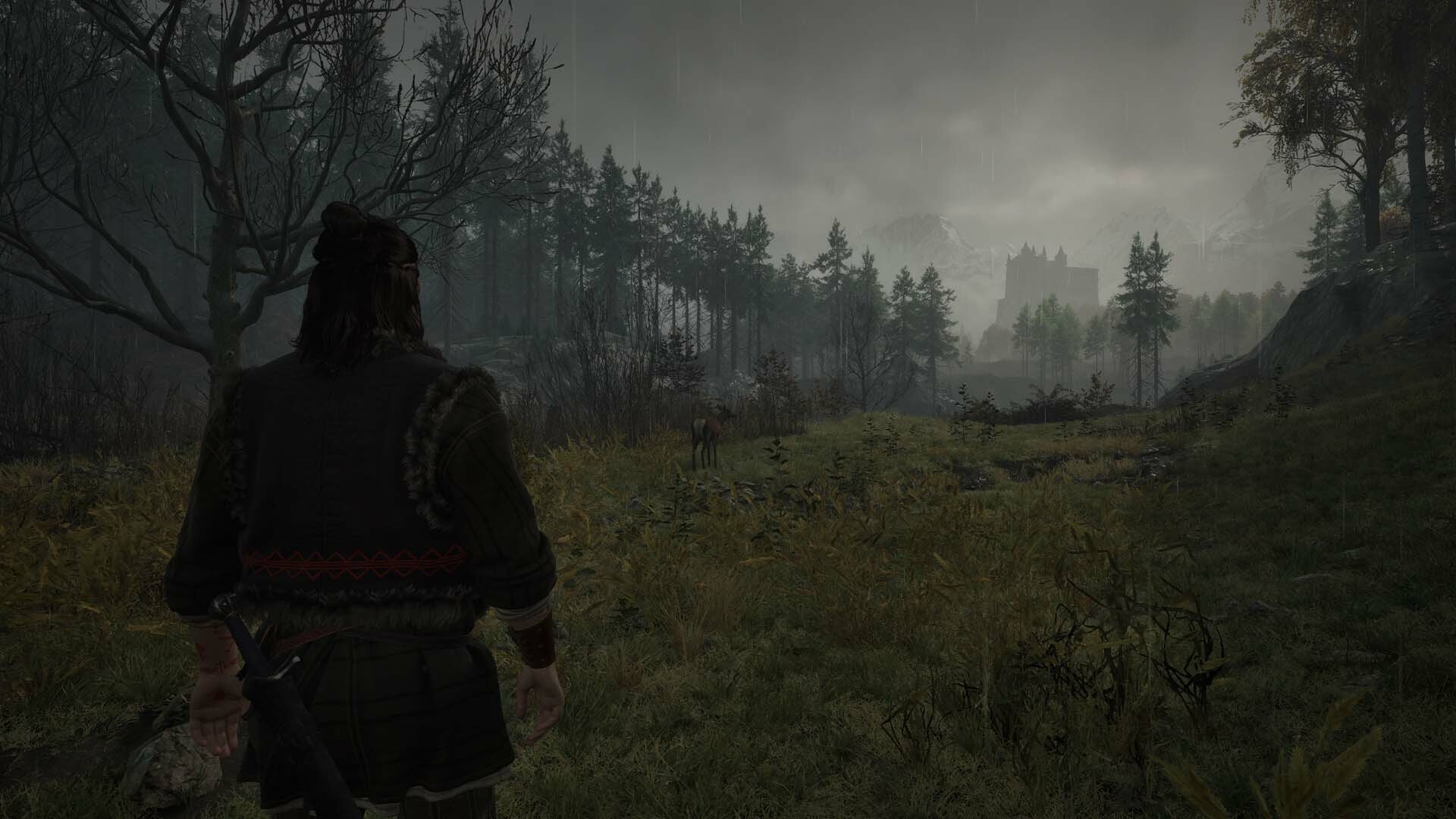 Скриншот из игры The Blood of Dawnwalker - 9