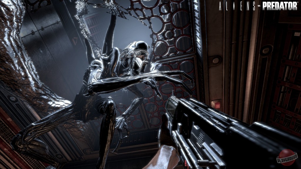 Скриншот из игры Aliens vs. Predator (2010) - 32
