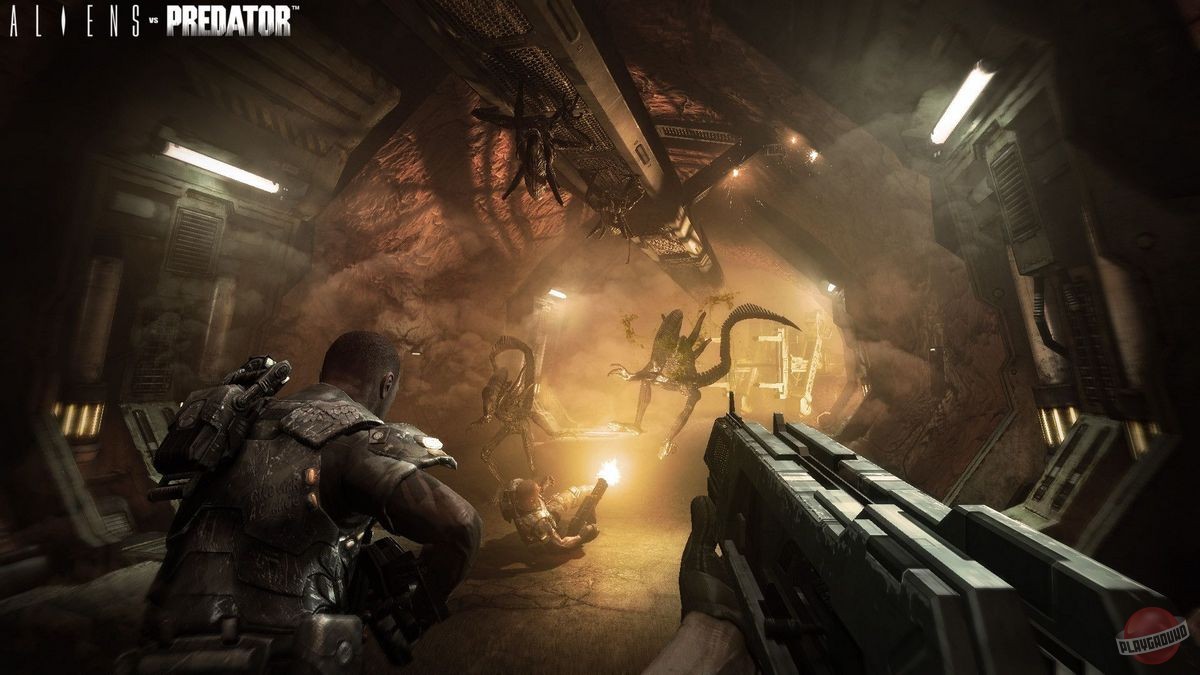 Скриншот из игры Aliens vs. Predator (2010) - 58