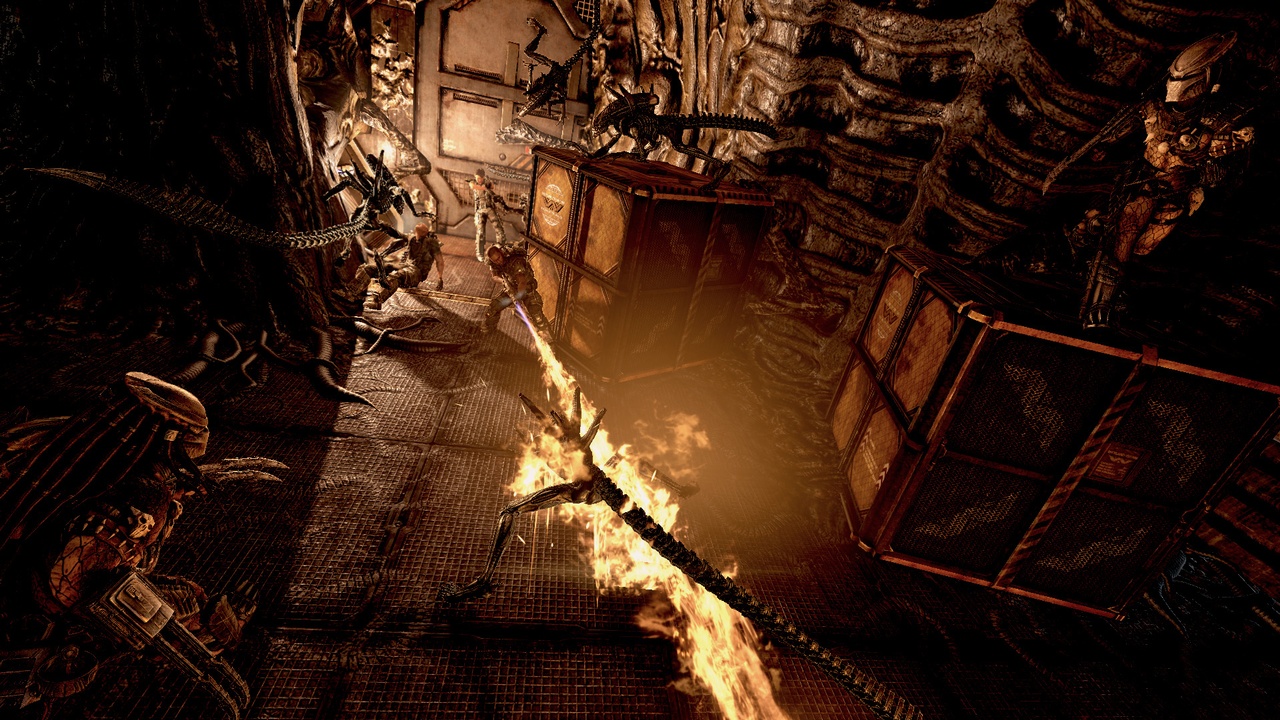 Скриншот из игры Aliens vs. Predator (2010) - 90