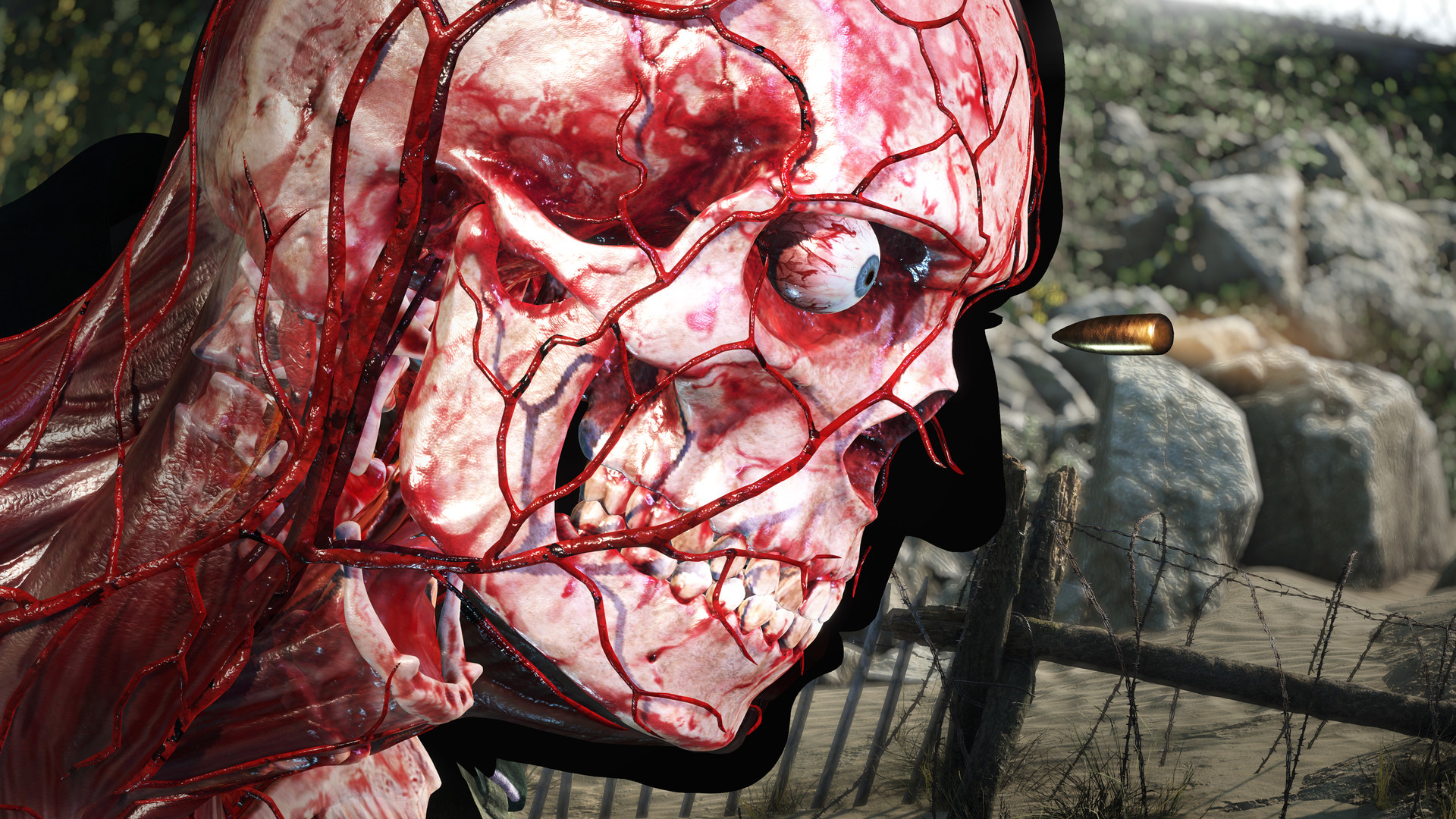 Скриншот из игры Sniper Elite 5 - 2