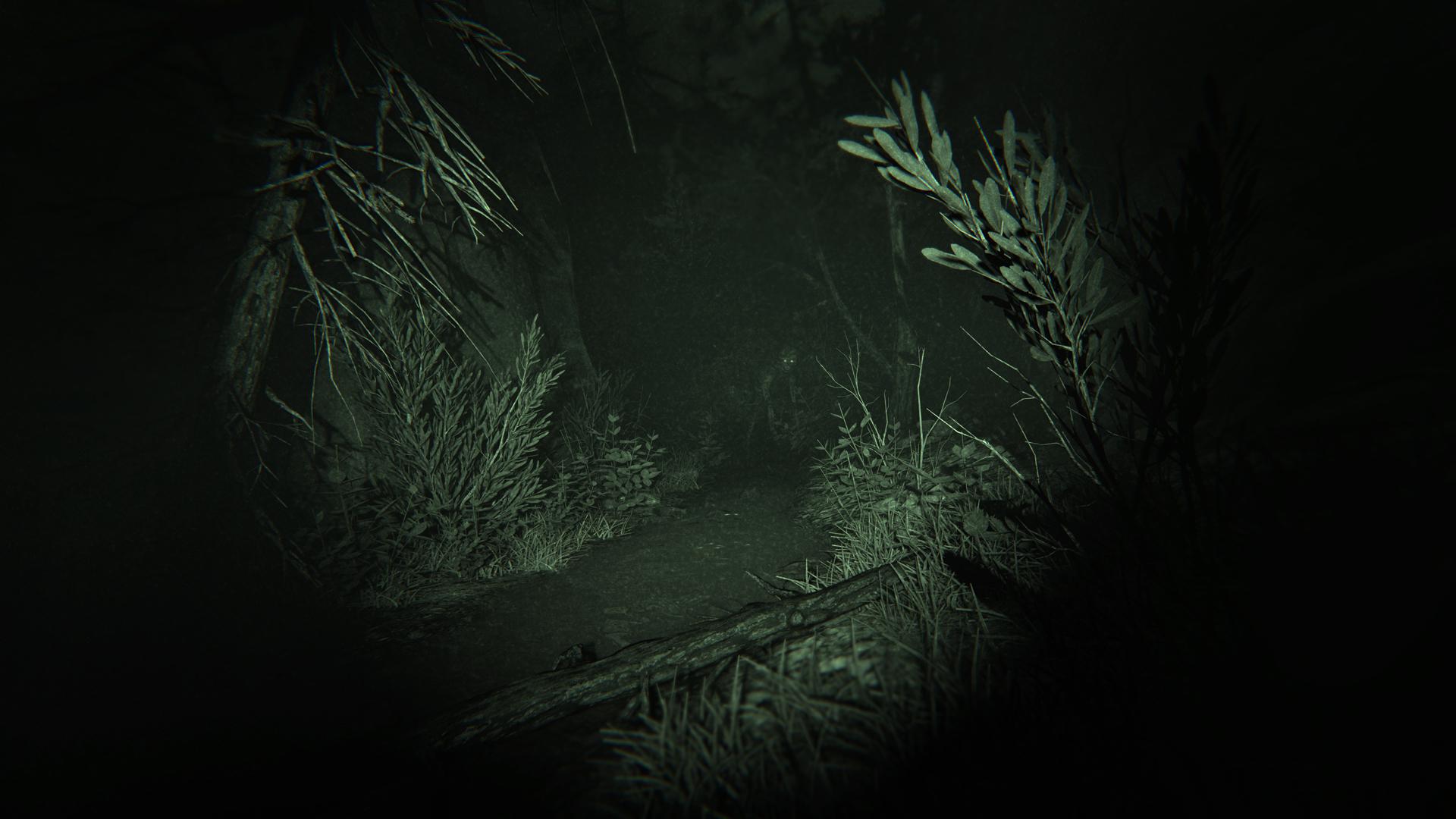 Скриншот из игры Outlast 2 - 36