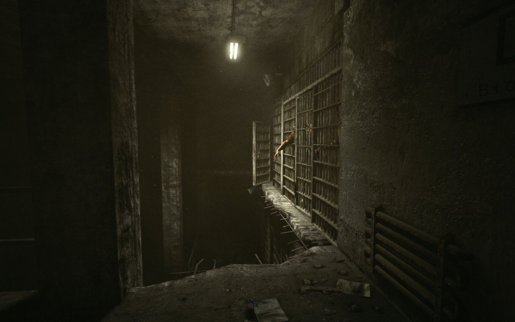 Скриншот из игры Outlast - 23
