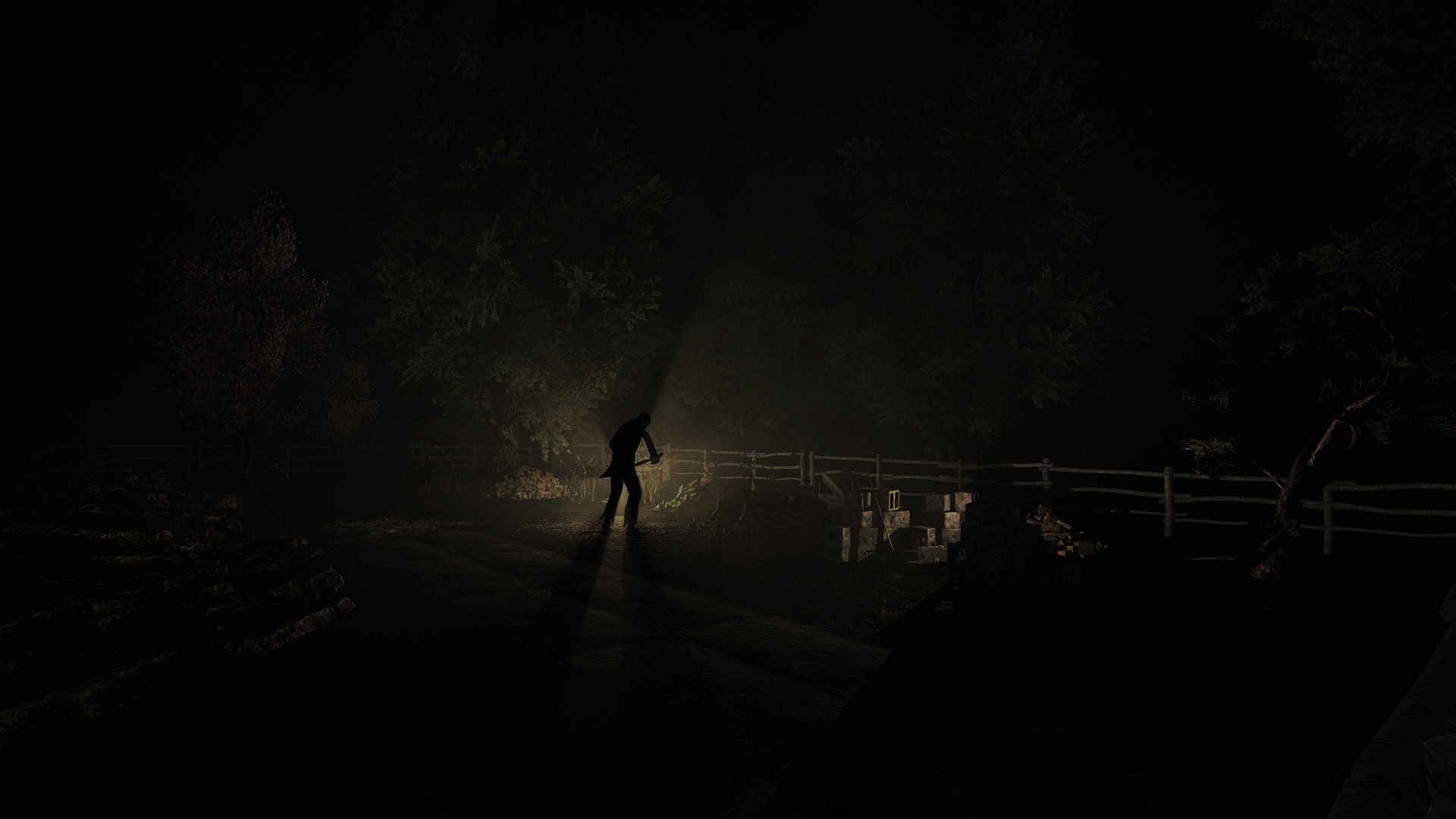 Скриншот из игры Rise of Insanity - 33