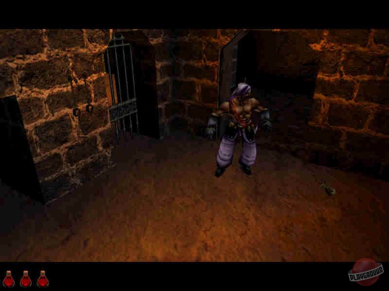 Скриншот из игры Prince of Persia 3D - 5