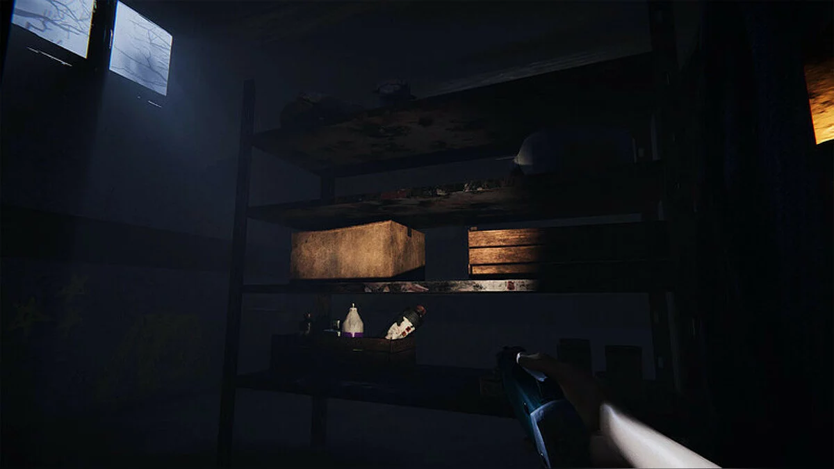 Скриншот из игры Peek a Boo - 16