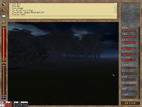 Скриншот из игры Roma Victor - 80