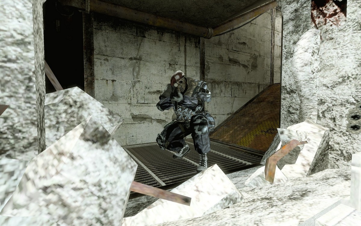 Скриншот из игры Alliance of Valiant Arms - 69