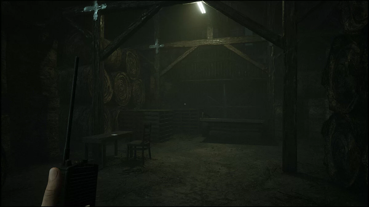 Скриншот из игры Greyhill Incident - 18