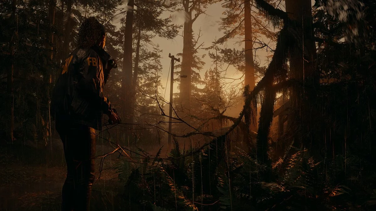 Скриншот из игры Alan Wake 2 - 18