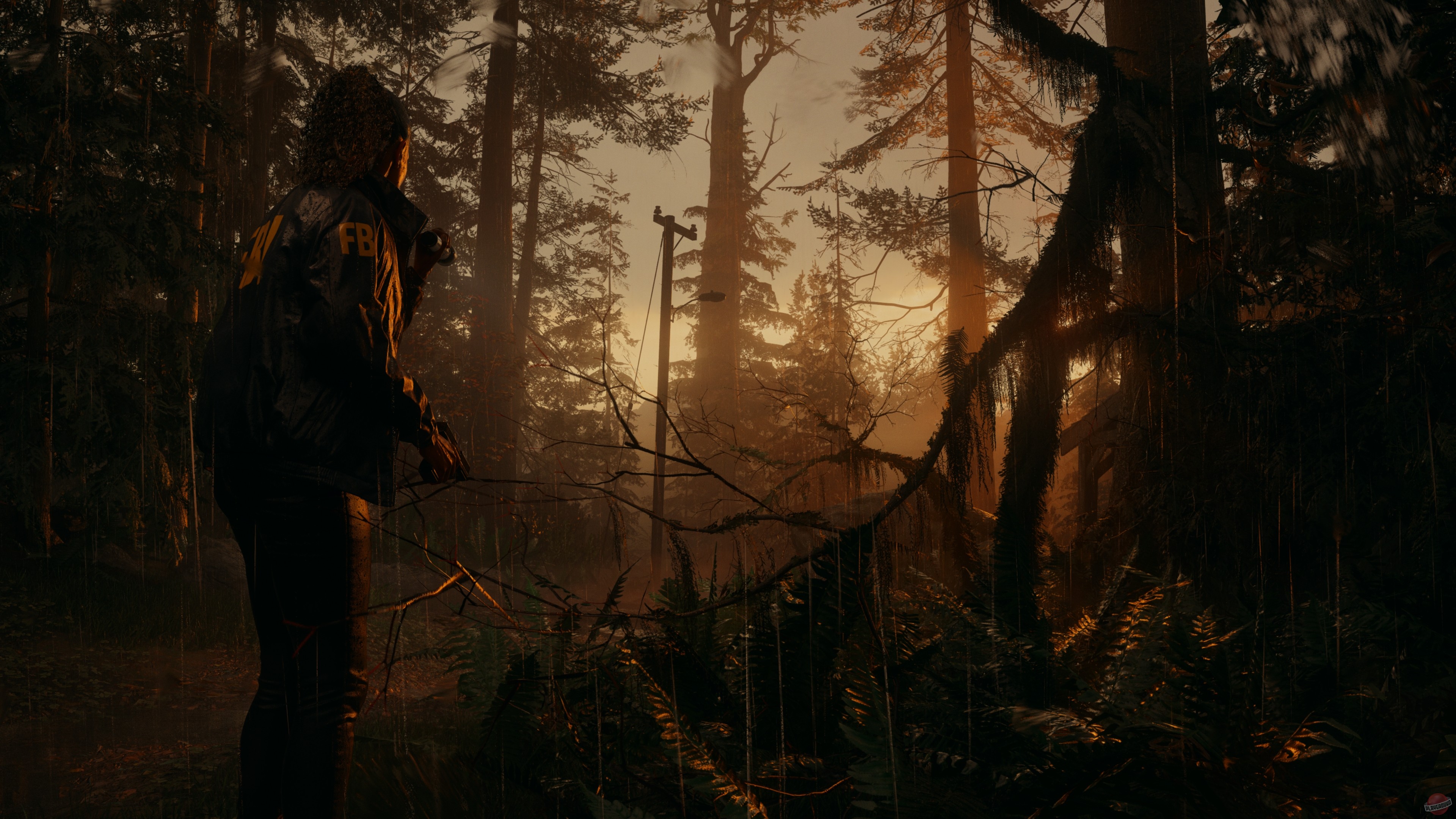 Скриншот из игры Alan Wake 2 - 27