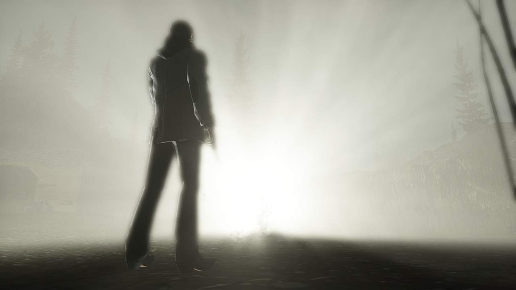 Скриншот из игры Alan Wake - 210