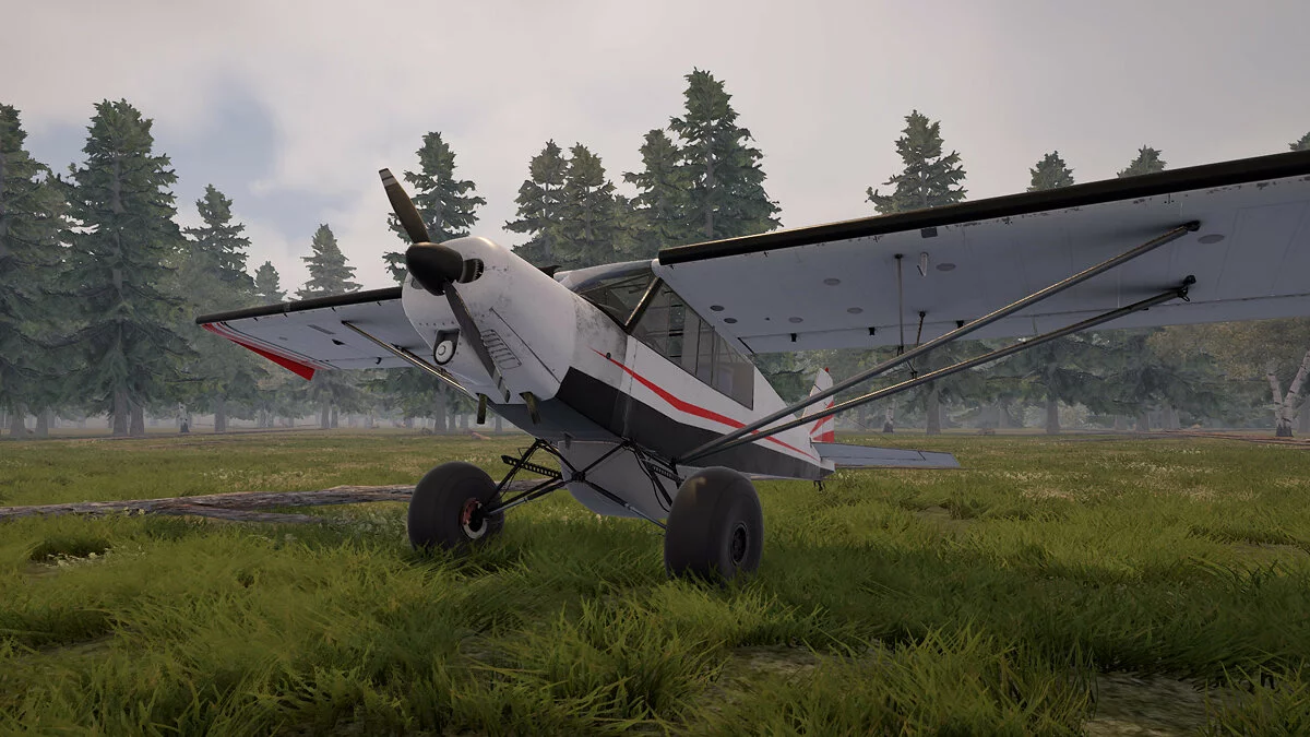 Скриншот из игры Deadstick - Bush Flight Simulator - 28