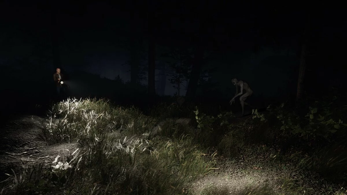 Скриншот из игры Sign of Silence - 25