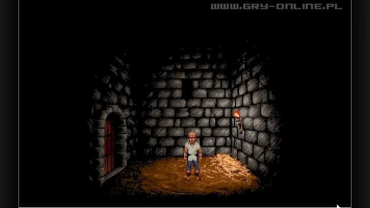 Скриншот из игры Lure of the Temptress - 3