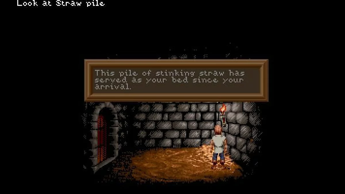 Скриншот из игры Lure of the Temptress - 5