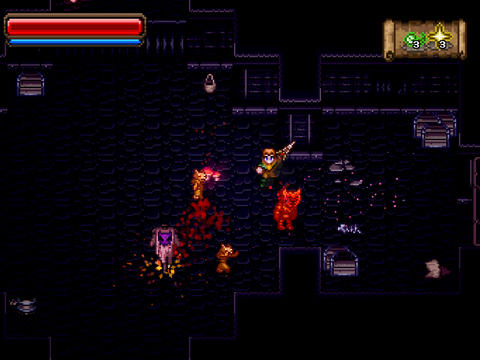 Скриншот из игры Wayward Souls - 11