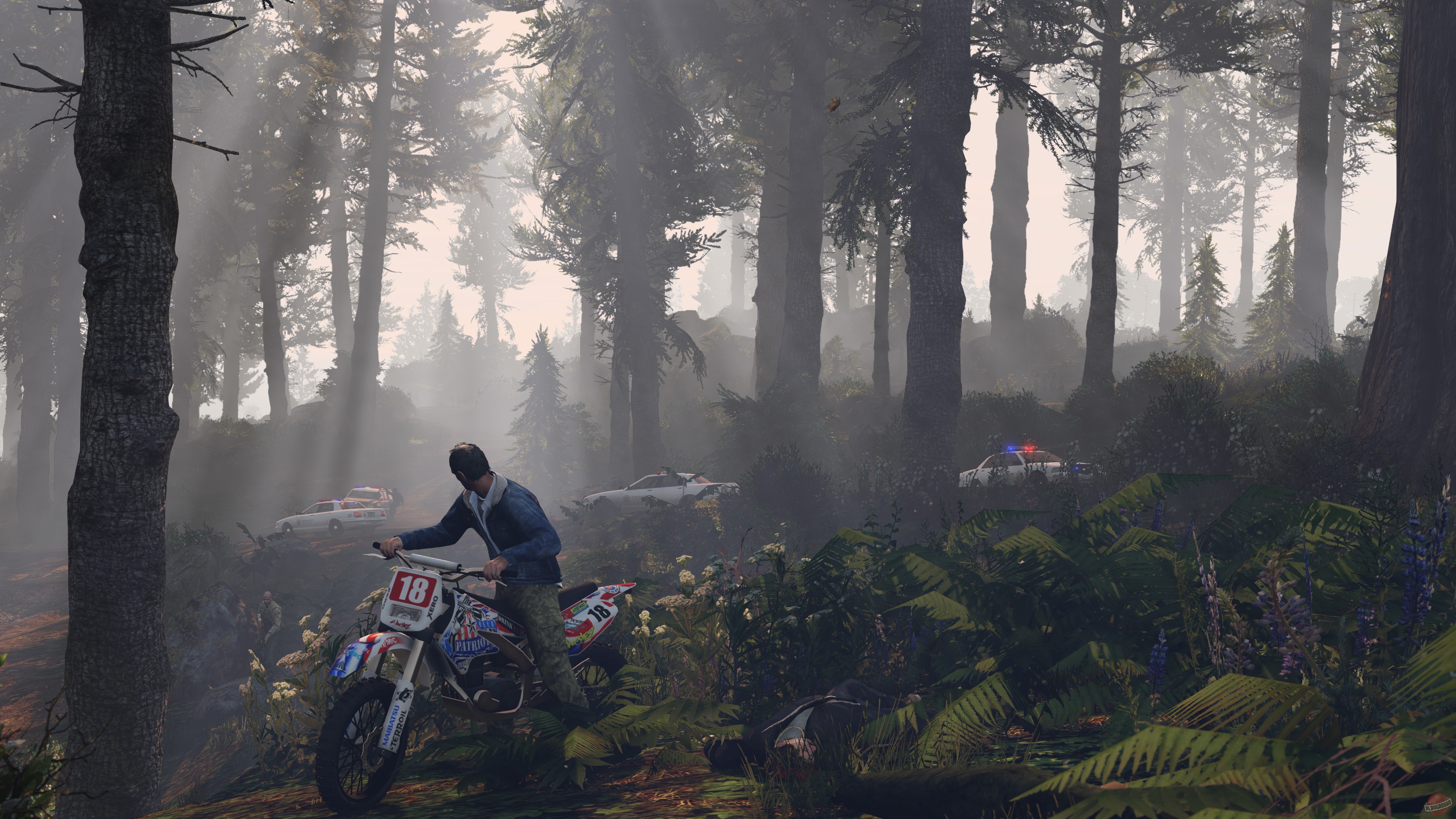 Скриншот из игры Grand Theft Auto 5 - 404