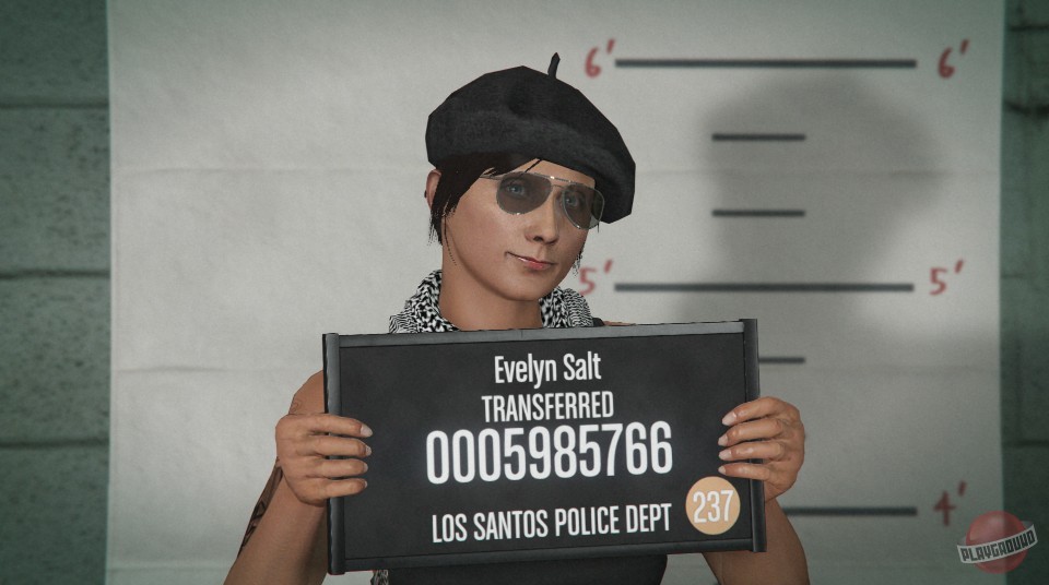 Скриншот из игры Grand Theft Auto 5 - 356
