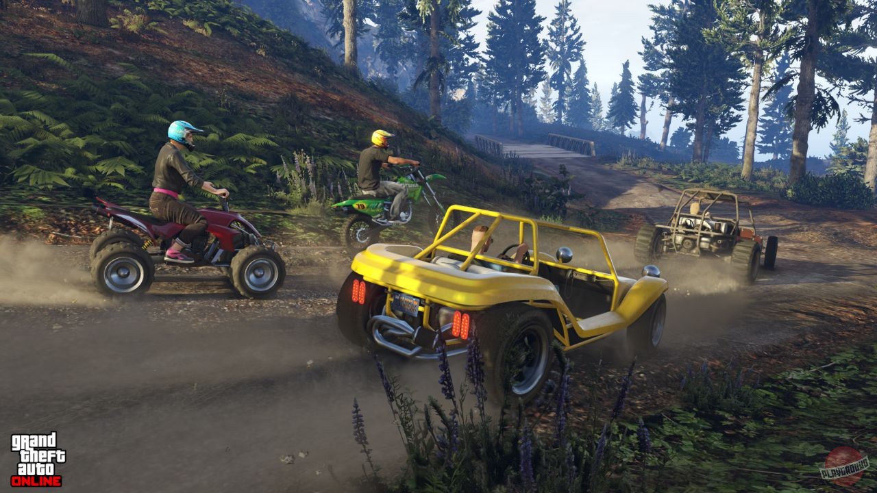 Скриншот из игры Grand Theft Auto 5 - 449
