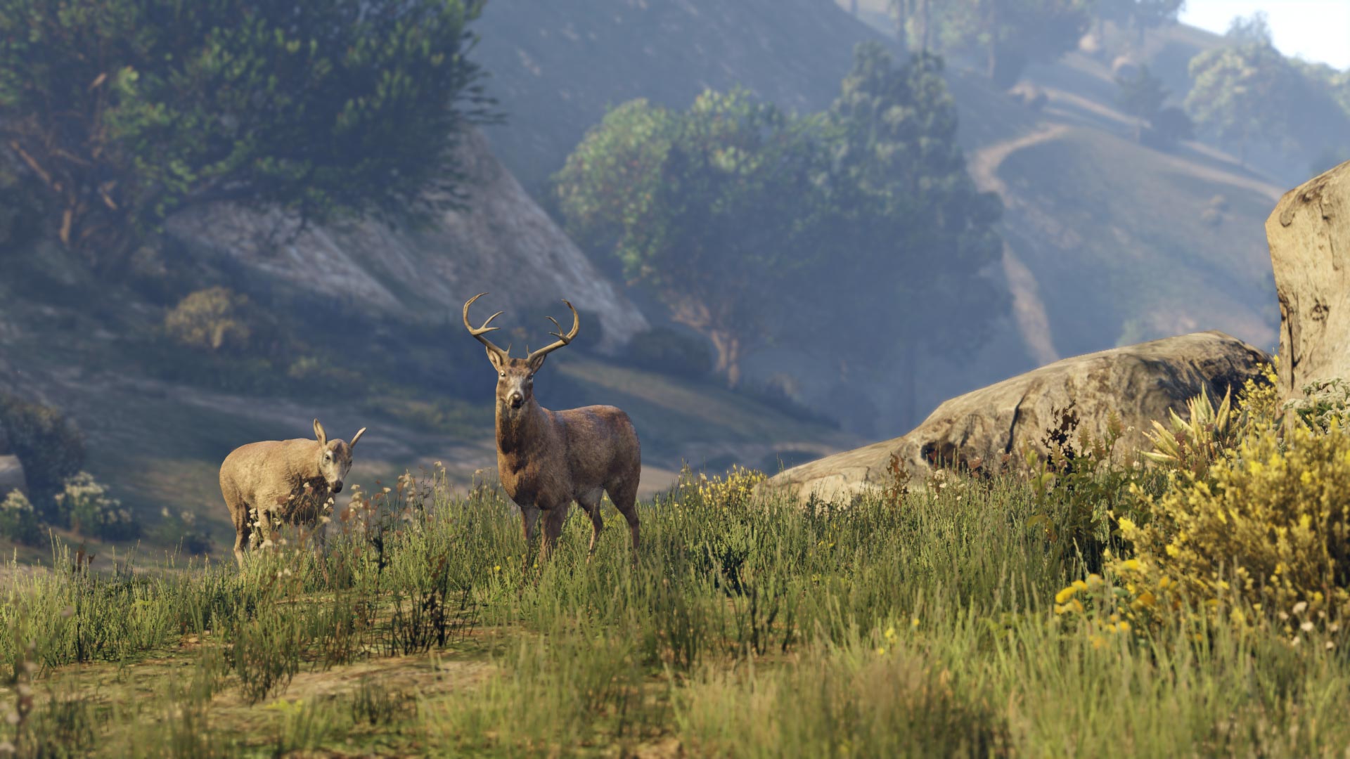 Скриншот из игры Grand Theft Auto V - 184