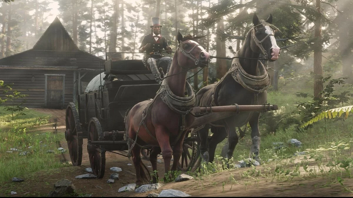 Скриншот из игры Red Dead Online - 30