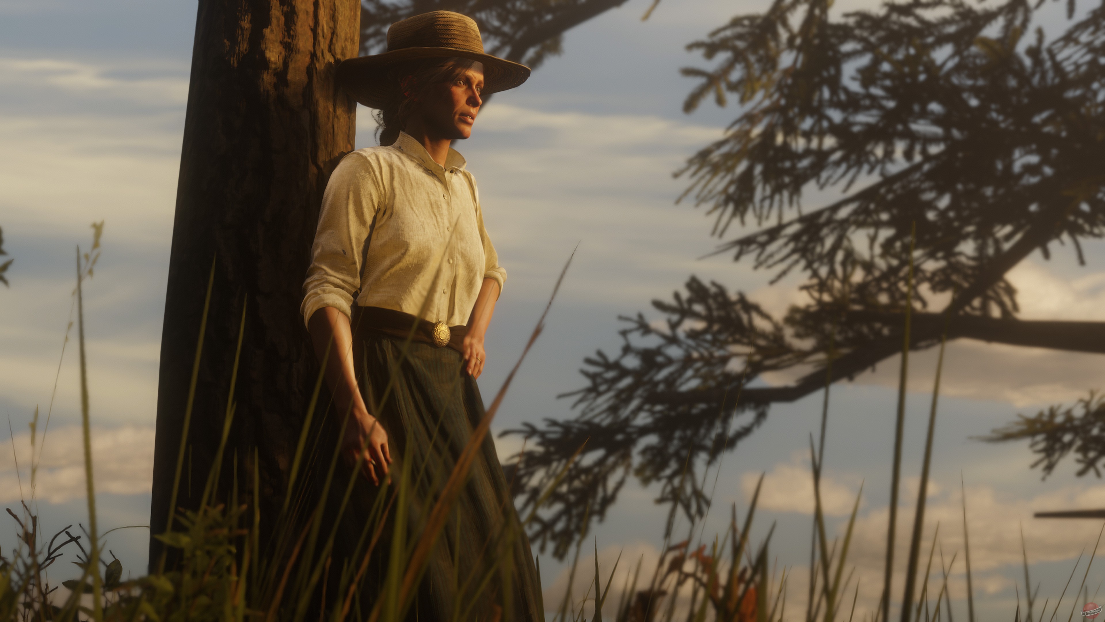 Скриншот из игры Red Dead Redemption 2 - 206
