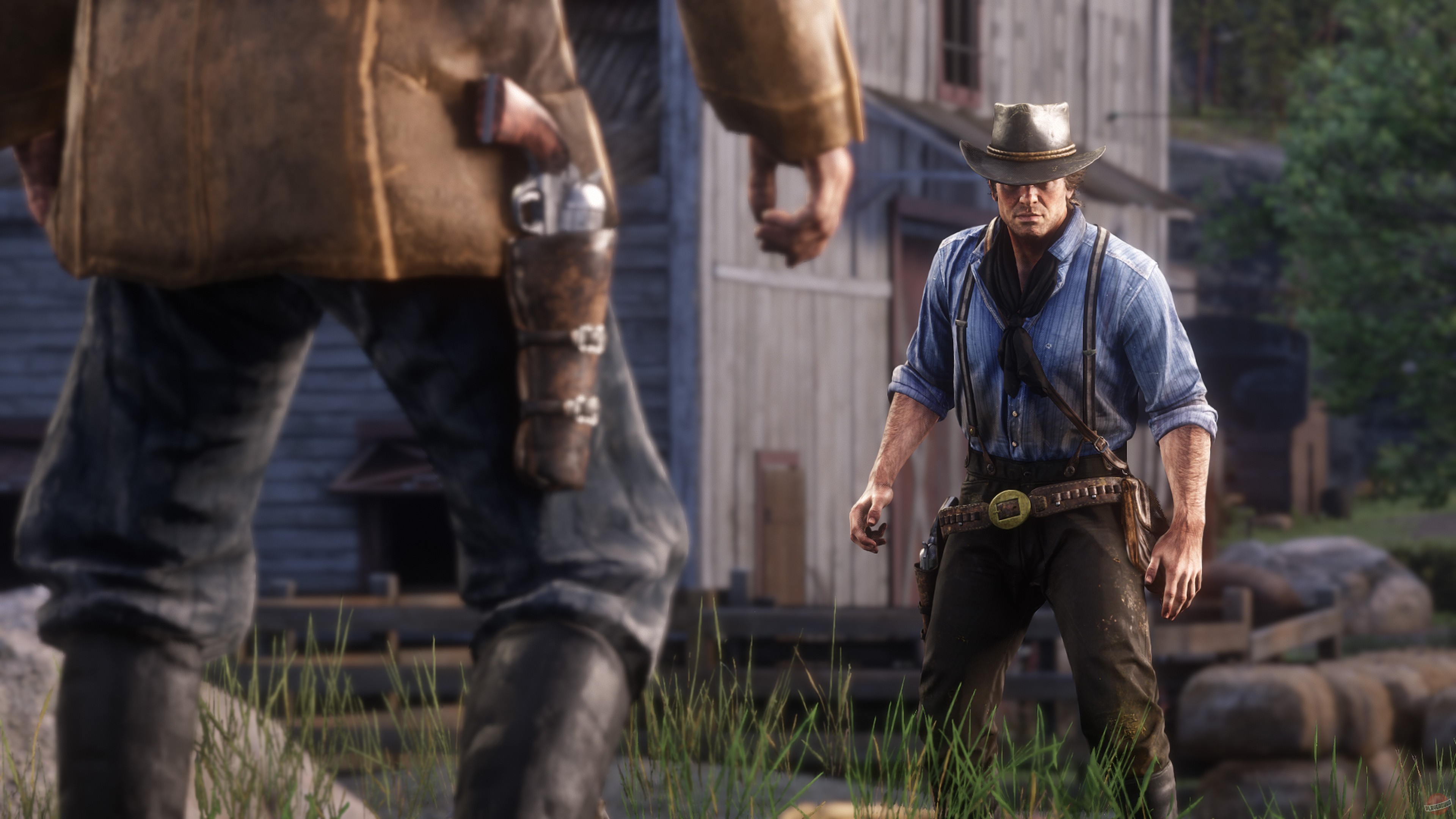 Скриншот из игры Red Dead Redemption 2 - 186