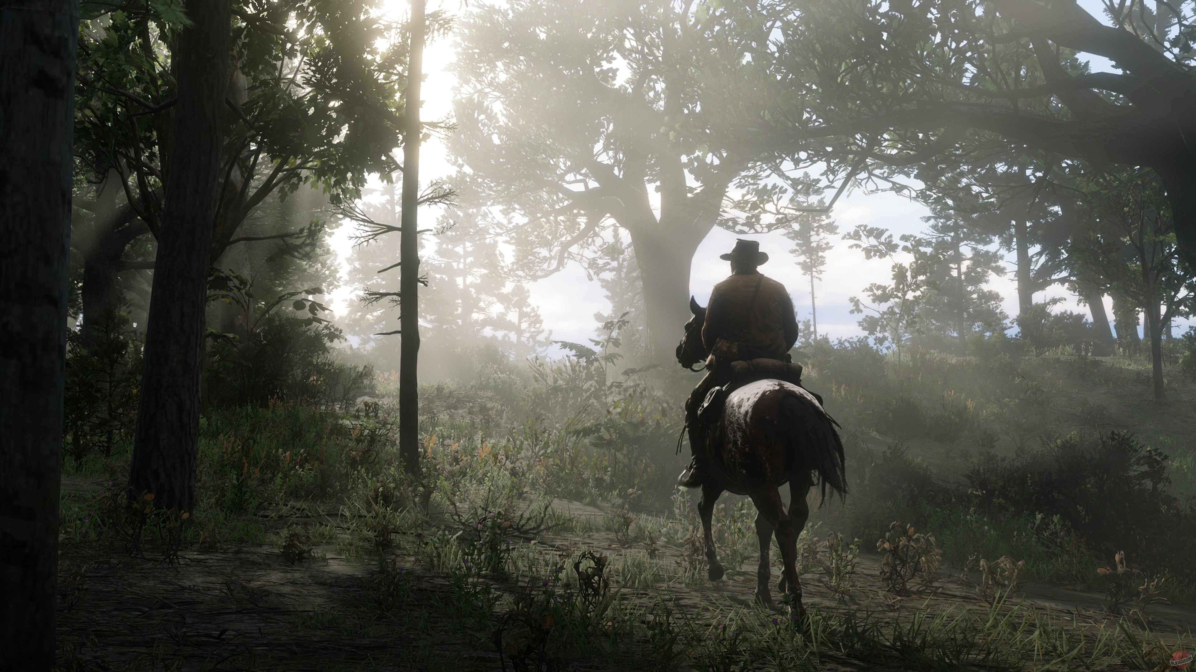 Скриншот из игры Red Dead Redemption 2 - 160