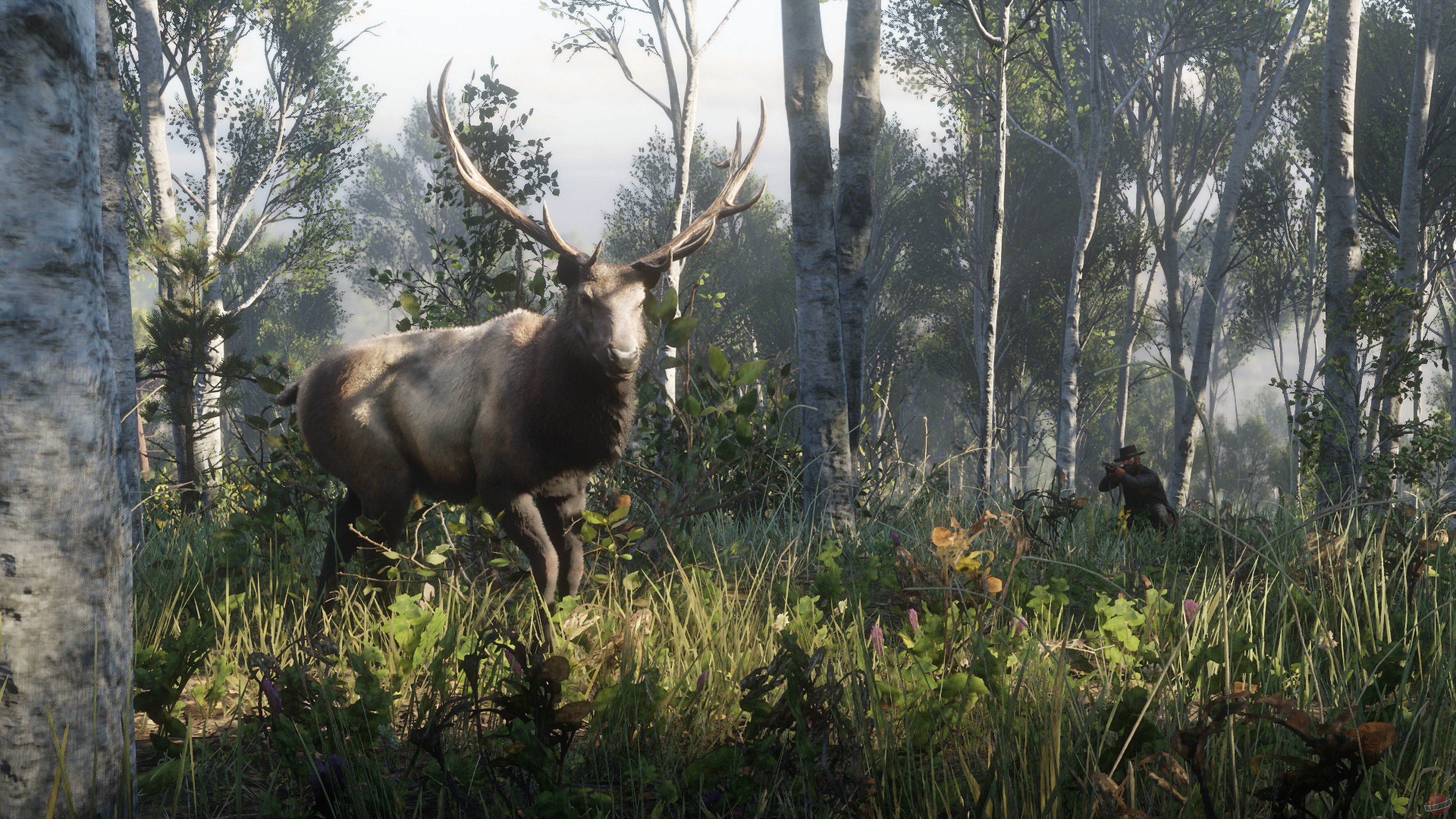Скриншот из игры Red Dead Redemption 2 - 146