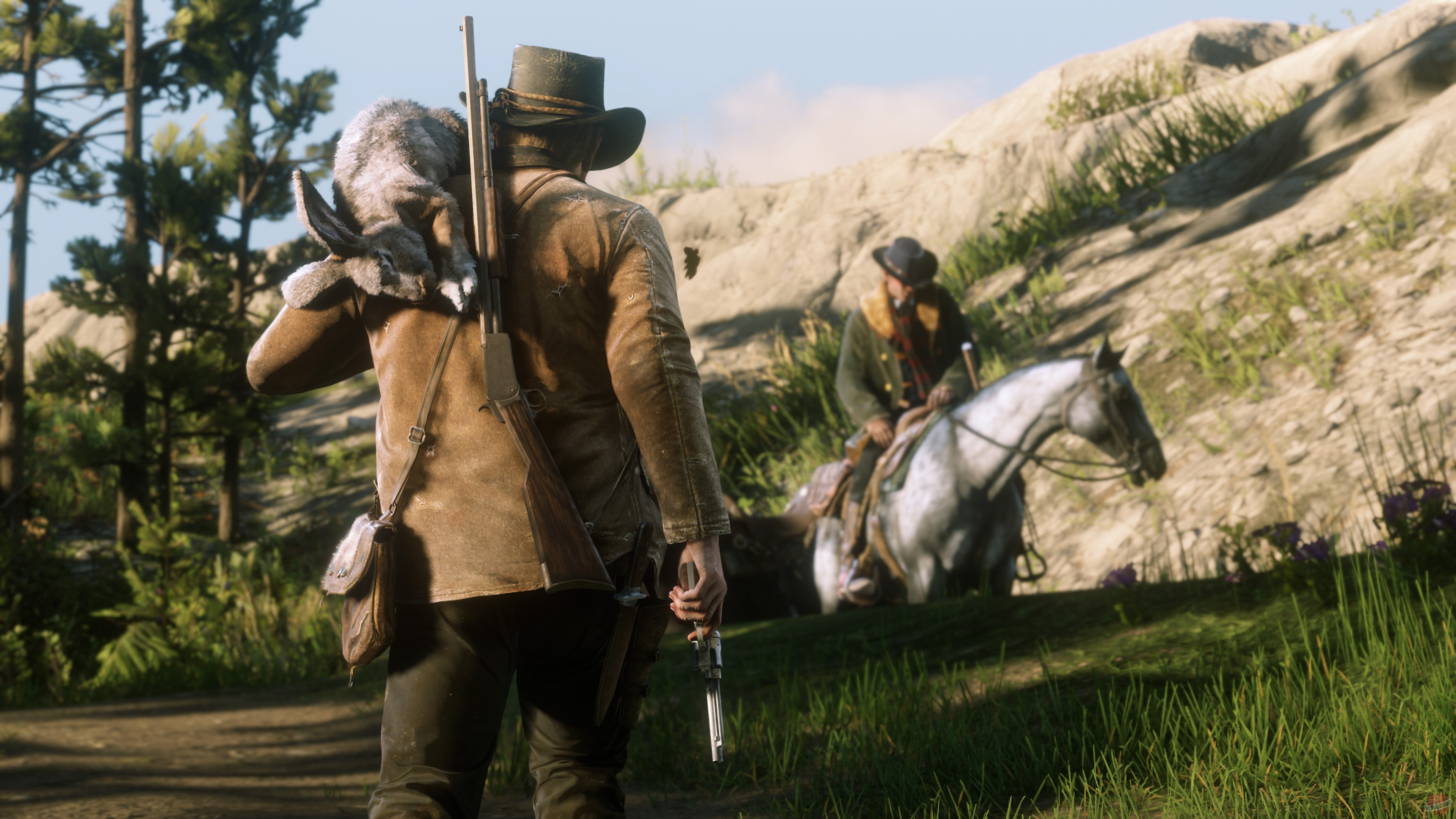 Скриншот из игры Red Dead Redemption 2 - 120