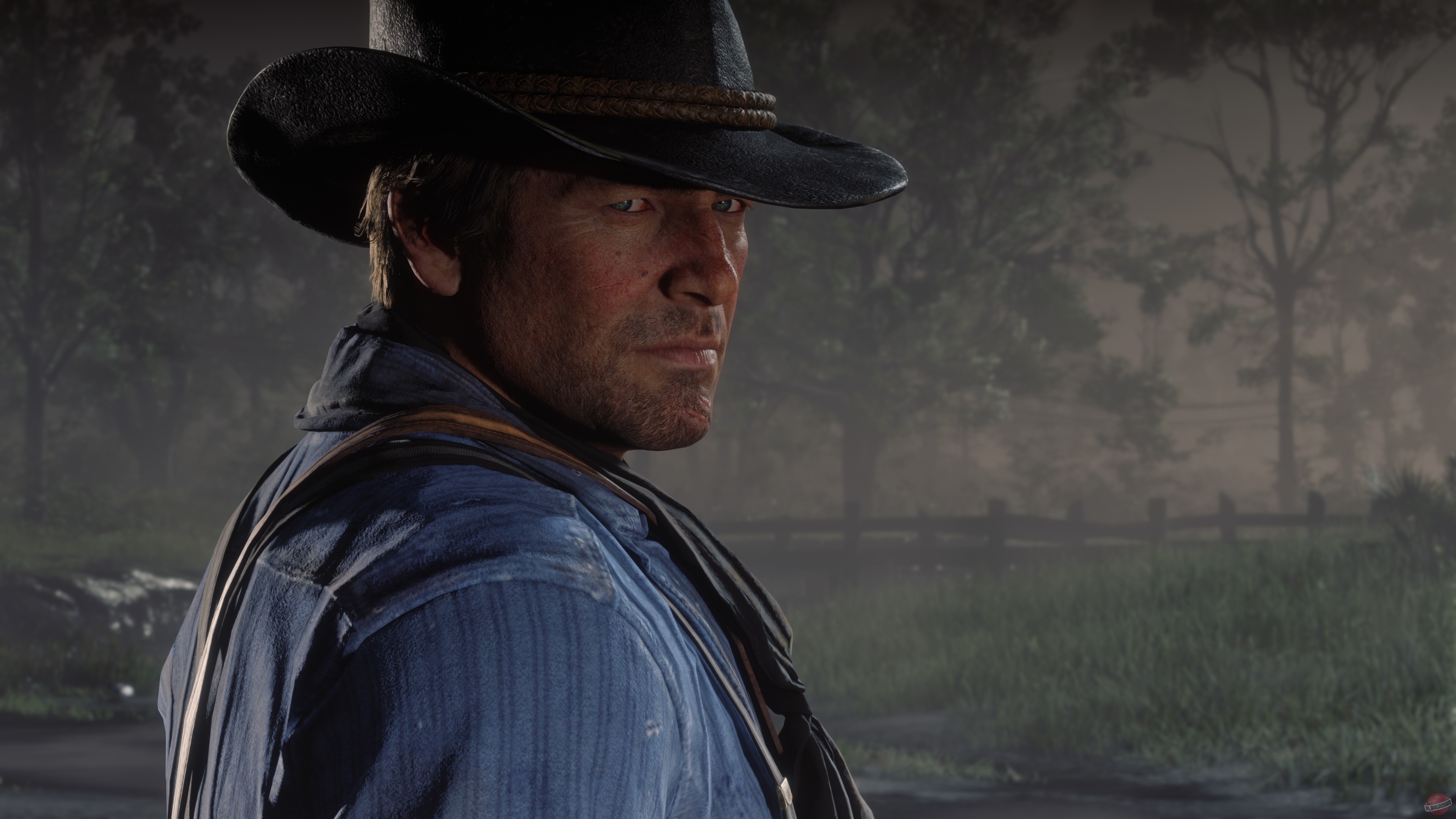 Скриншот из игры Red Dead Redemption 2 - 185