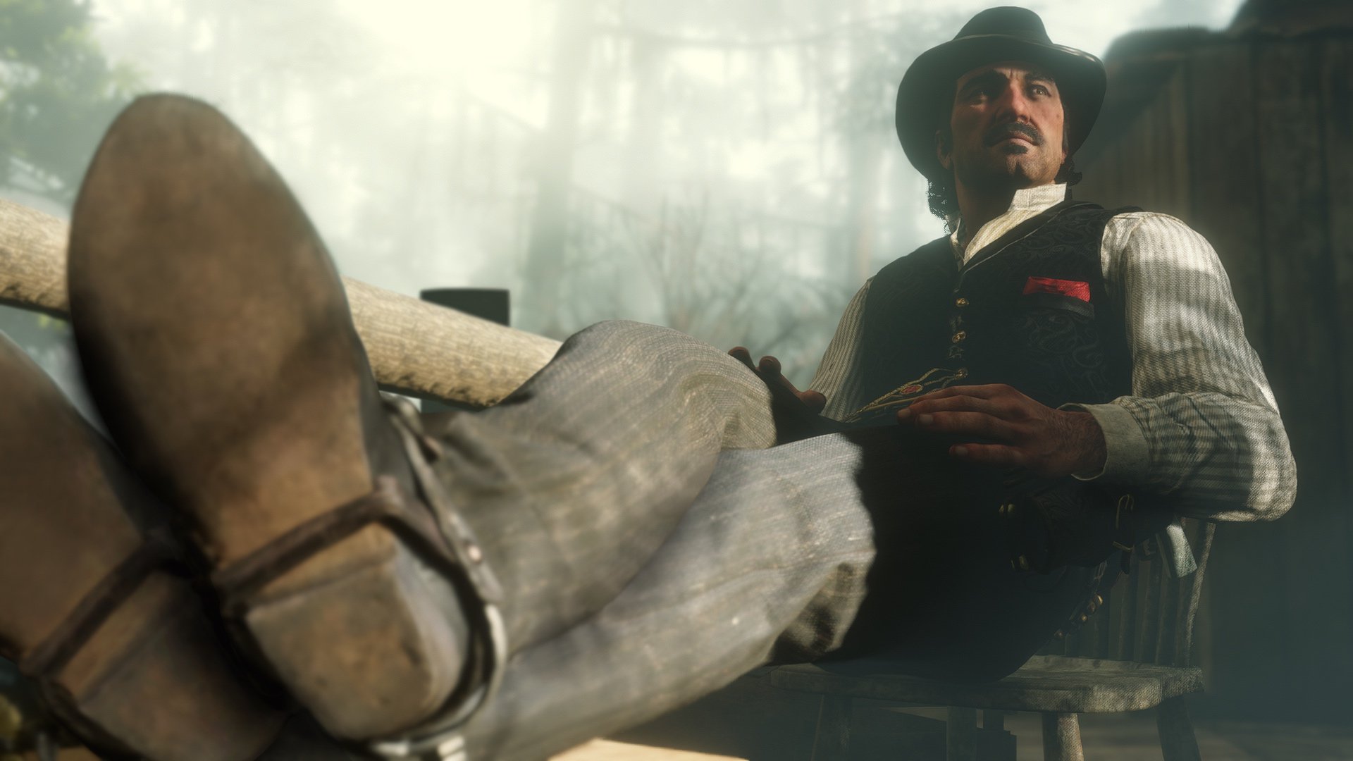 Скриншот из игры Red Dead Redemption 2 - 144
