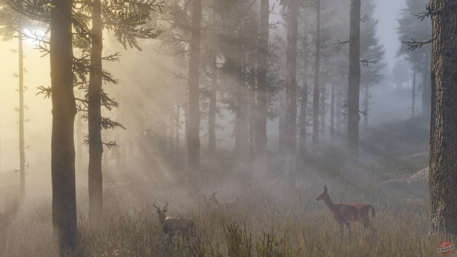 Скриншот из игры Red Dead Redemption 2 - 224