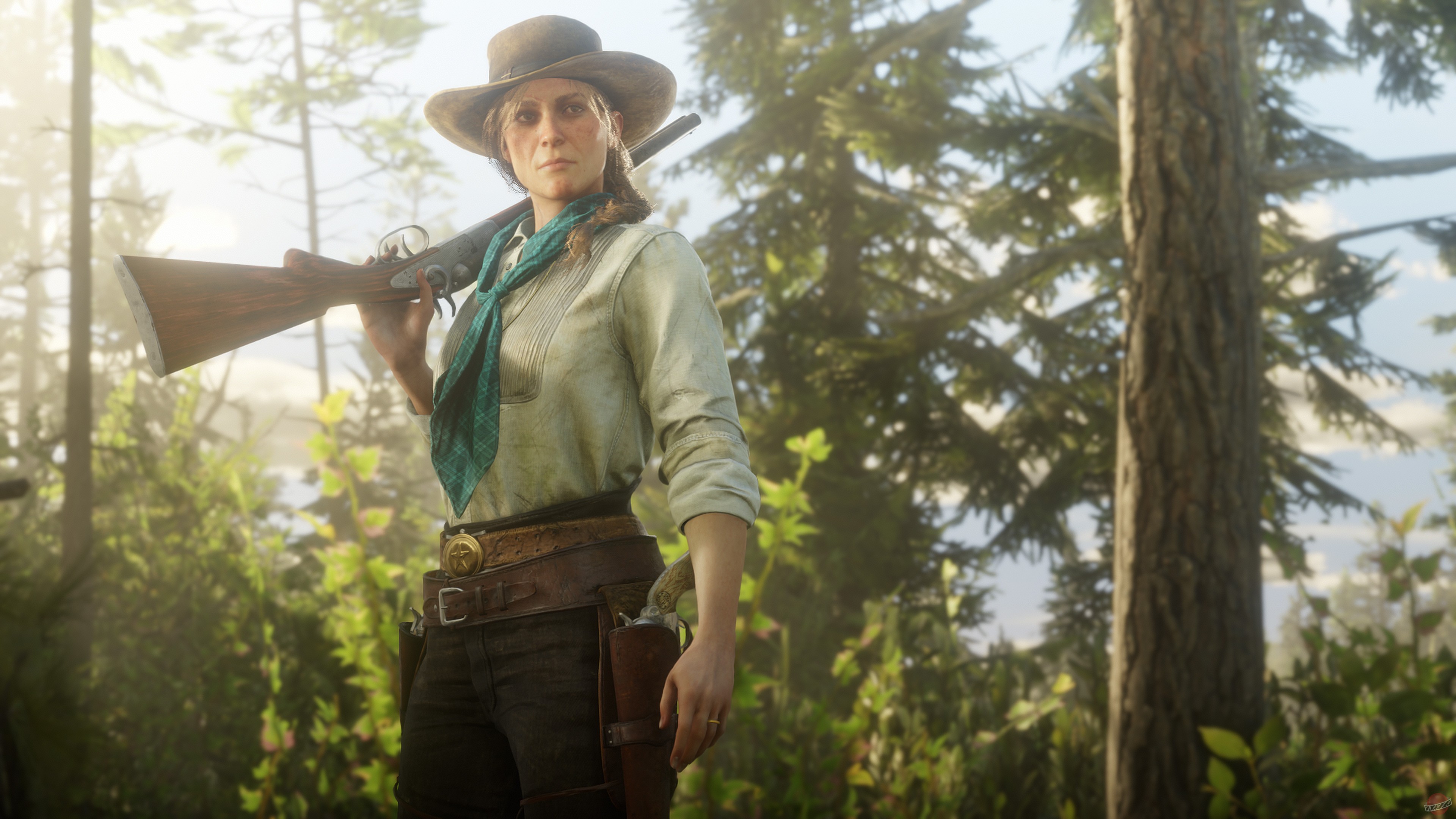 Скриншот из игры Red Dead Redemption 2 - 235