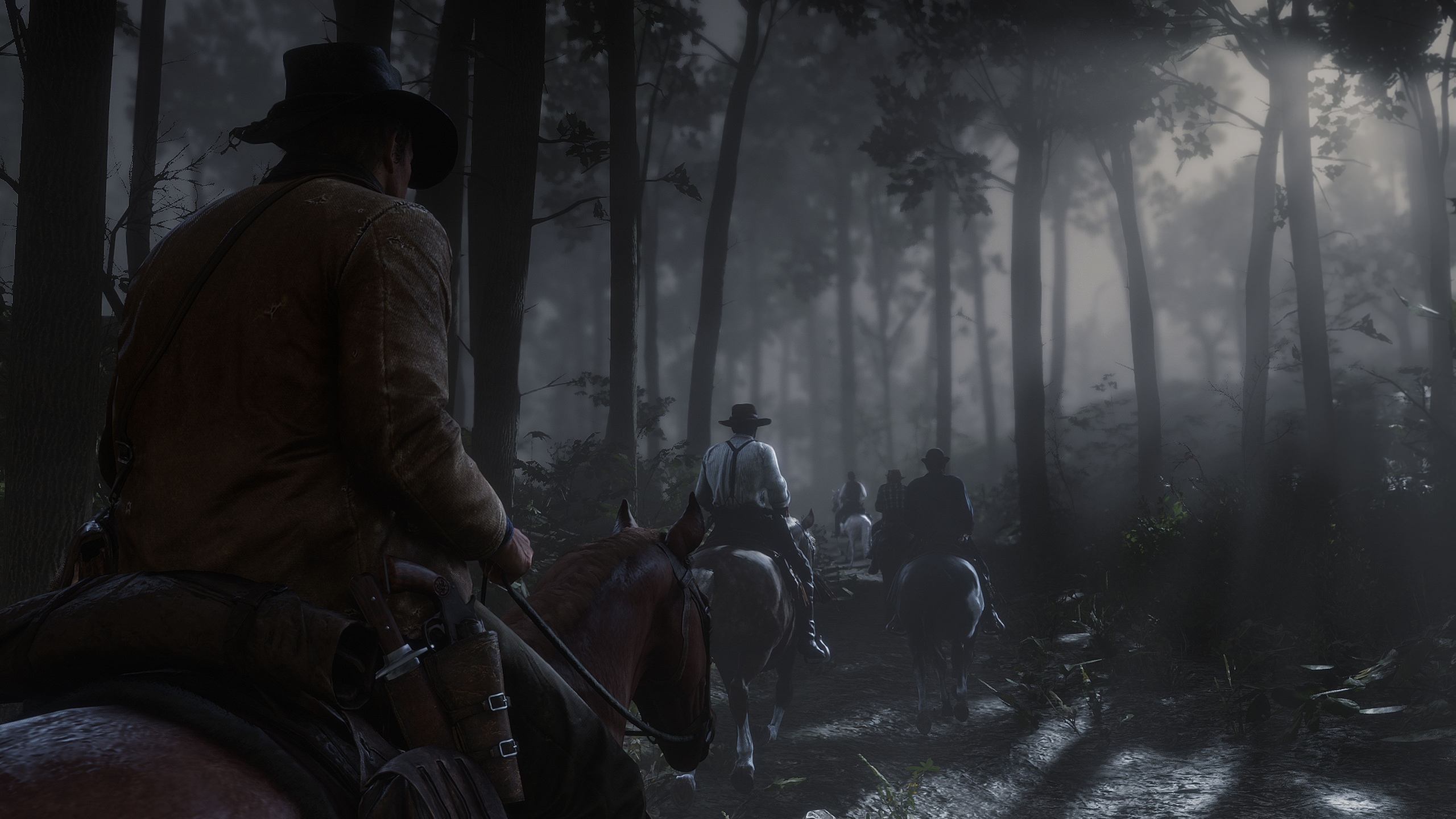 Скриншот из игры Red Dead Redemption 2 - 119