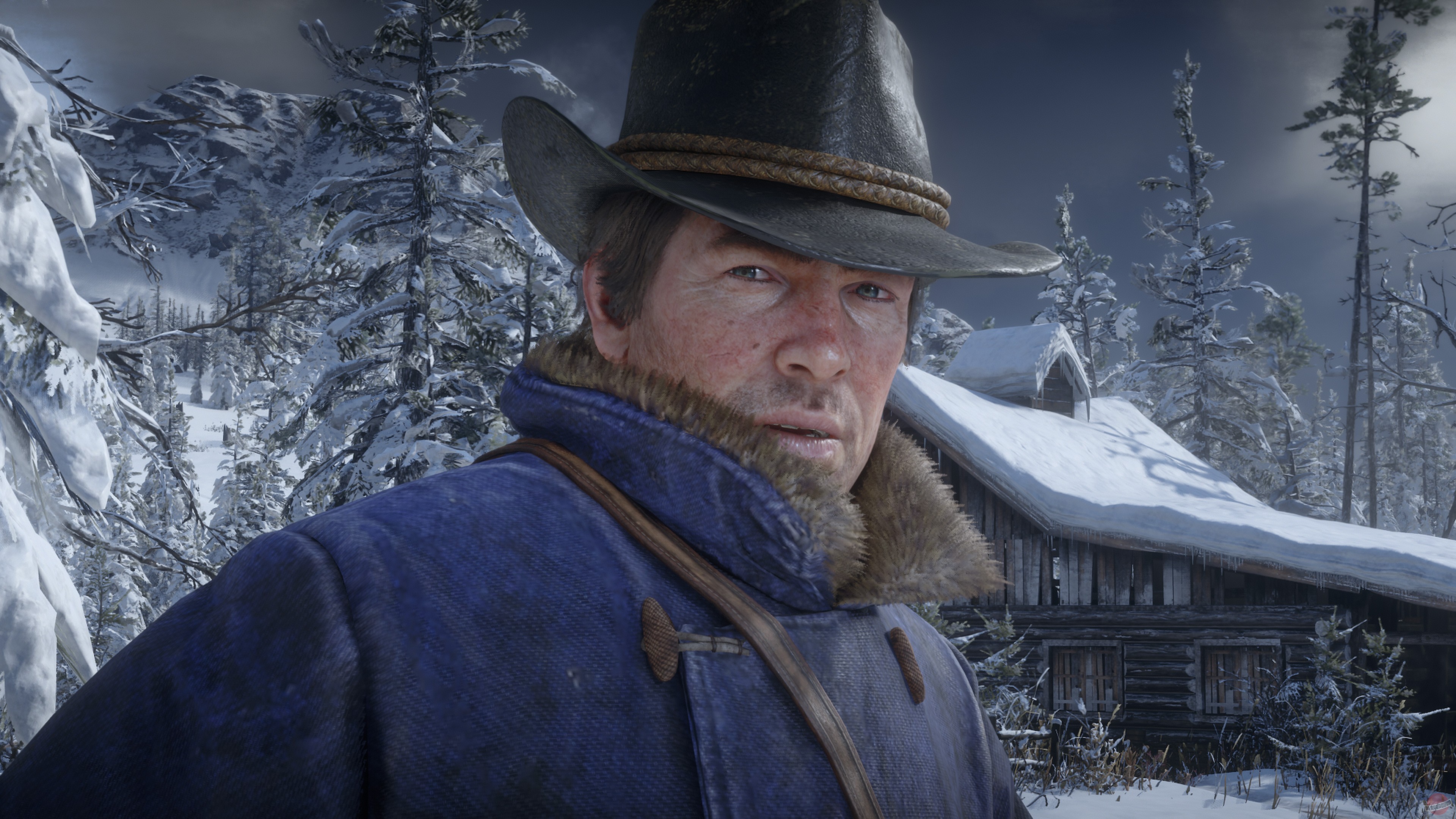 Скриншот из игры Red Dead Redemption 2 - 112