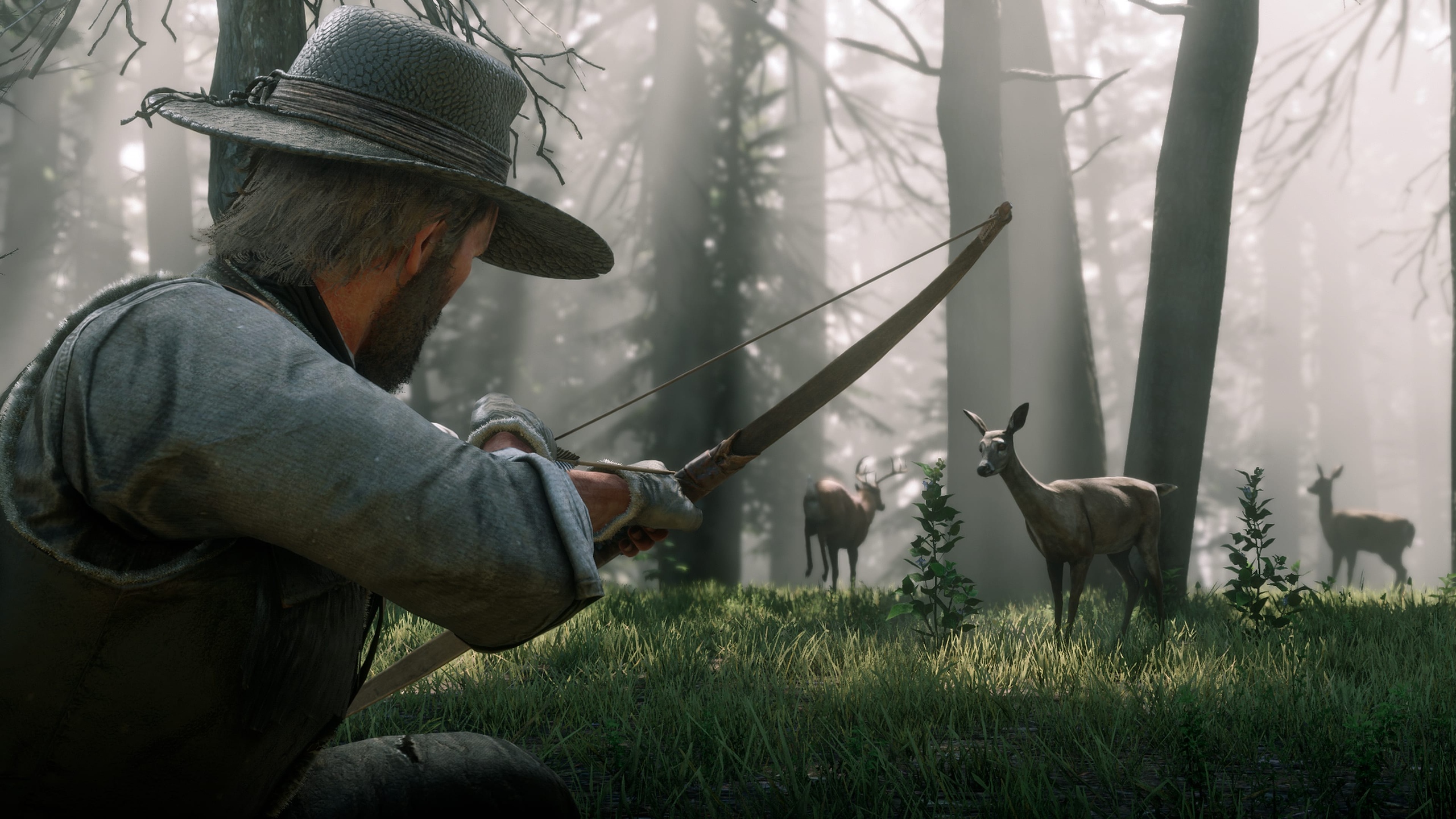 Скриншот из игры Red Dead Redemption 2 - 151