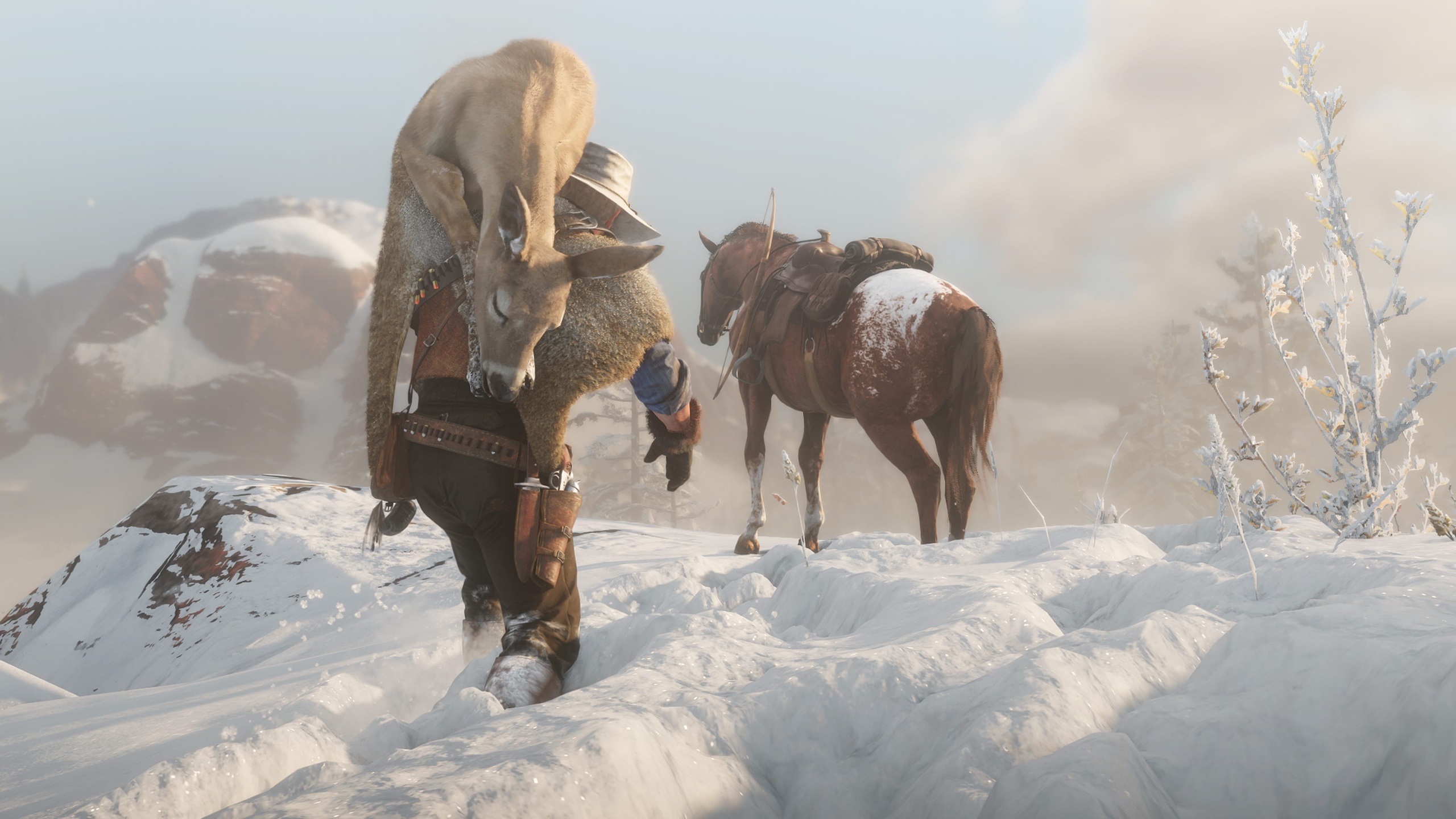 Скриншот из игры Red Dead Redemption 2 - 148