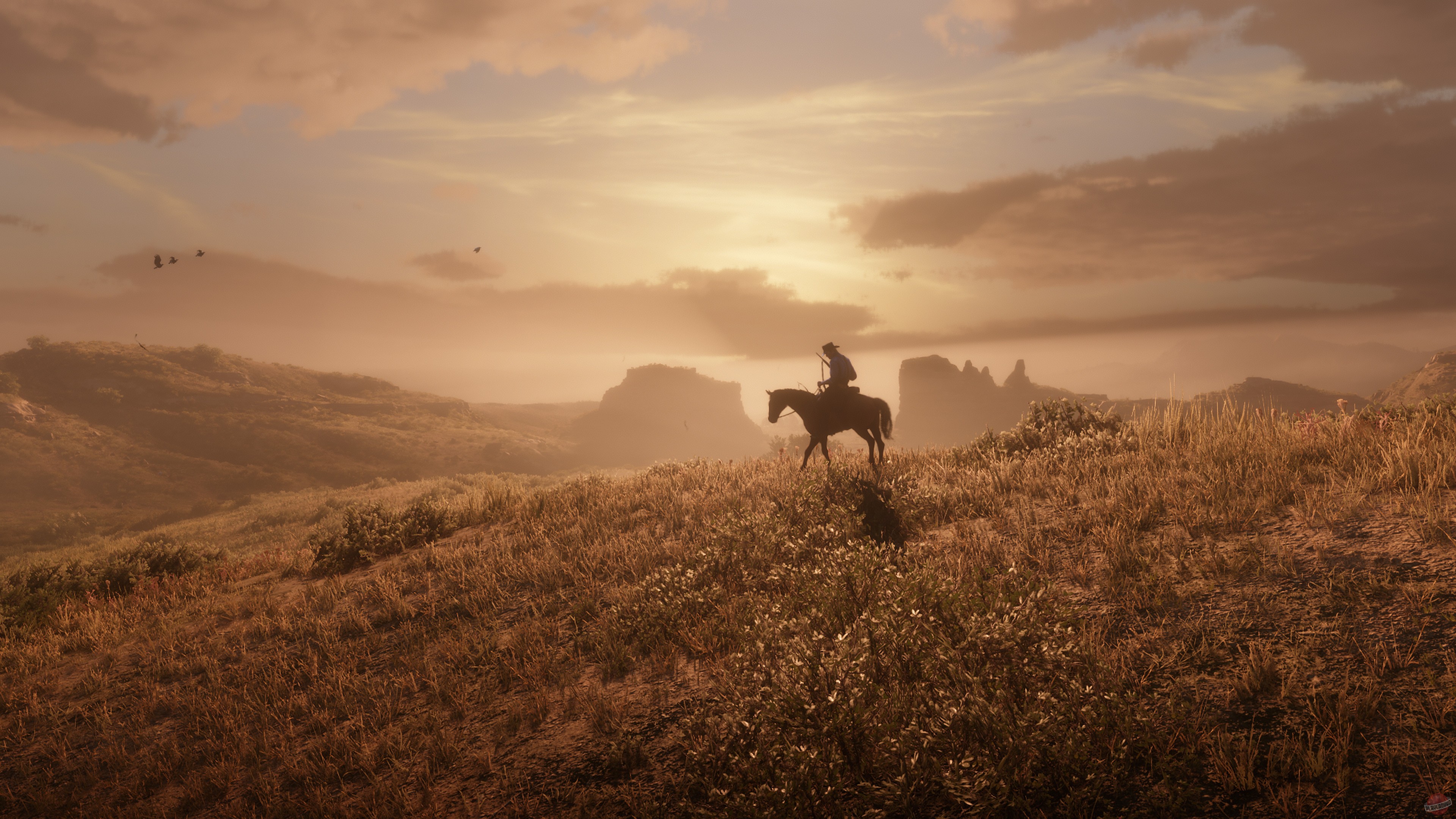 Скриншот из игры Red Dead Redemption 2 - 246