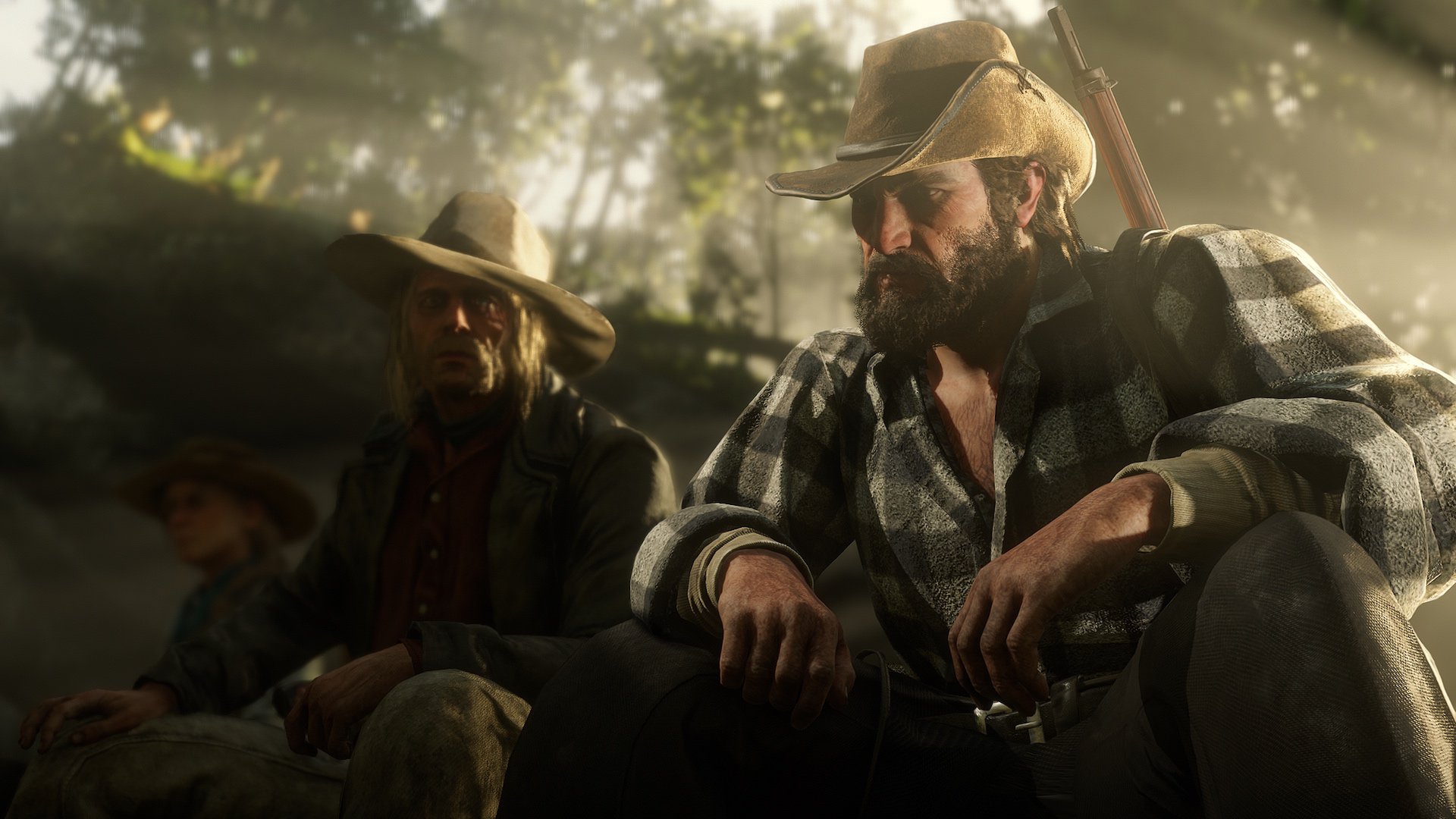 Скриншот из игры Red Dead Redemption 2 - 133