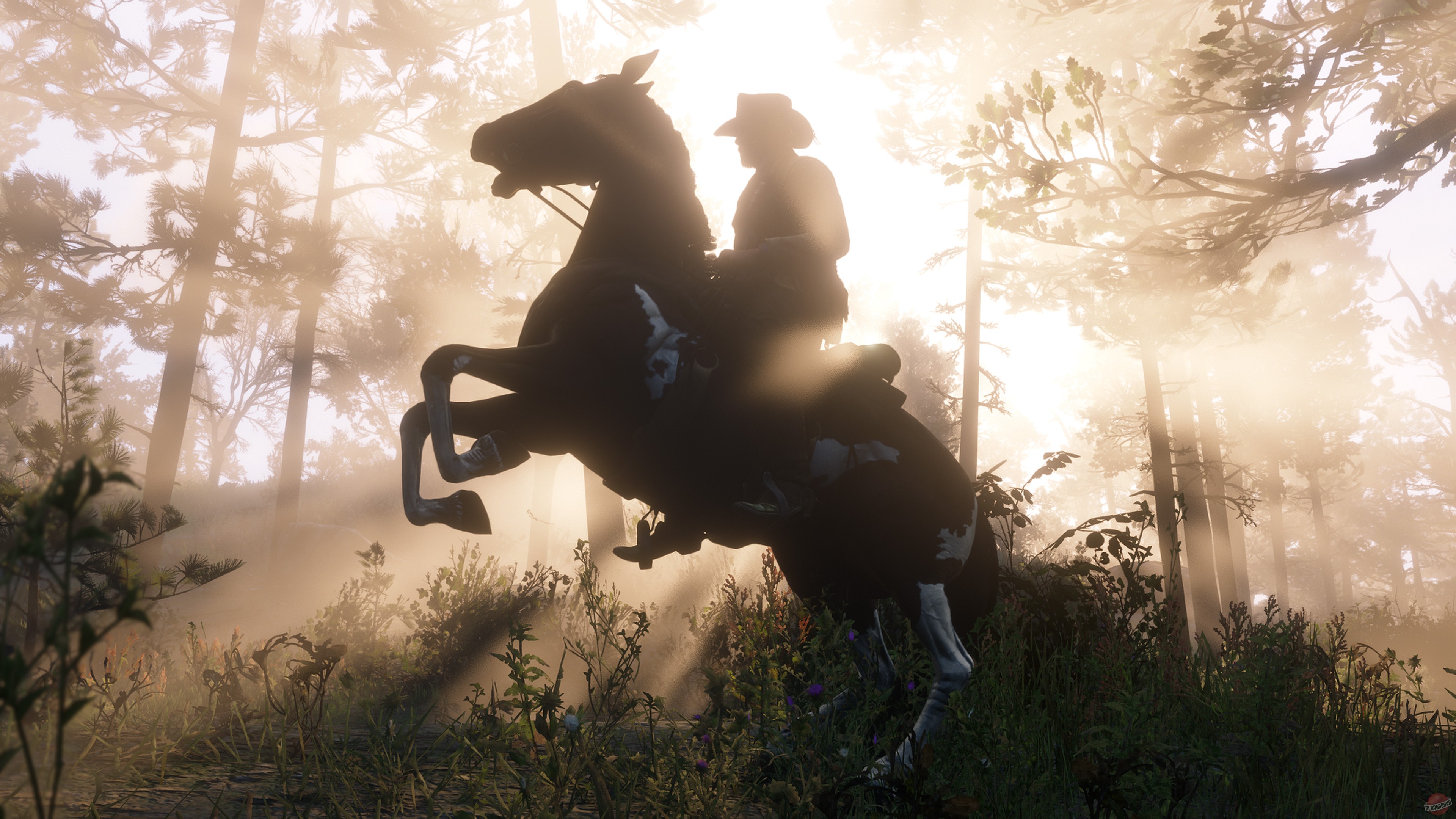 Скриншот из игры Red Dead Redemption 2 - 236