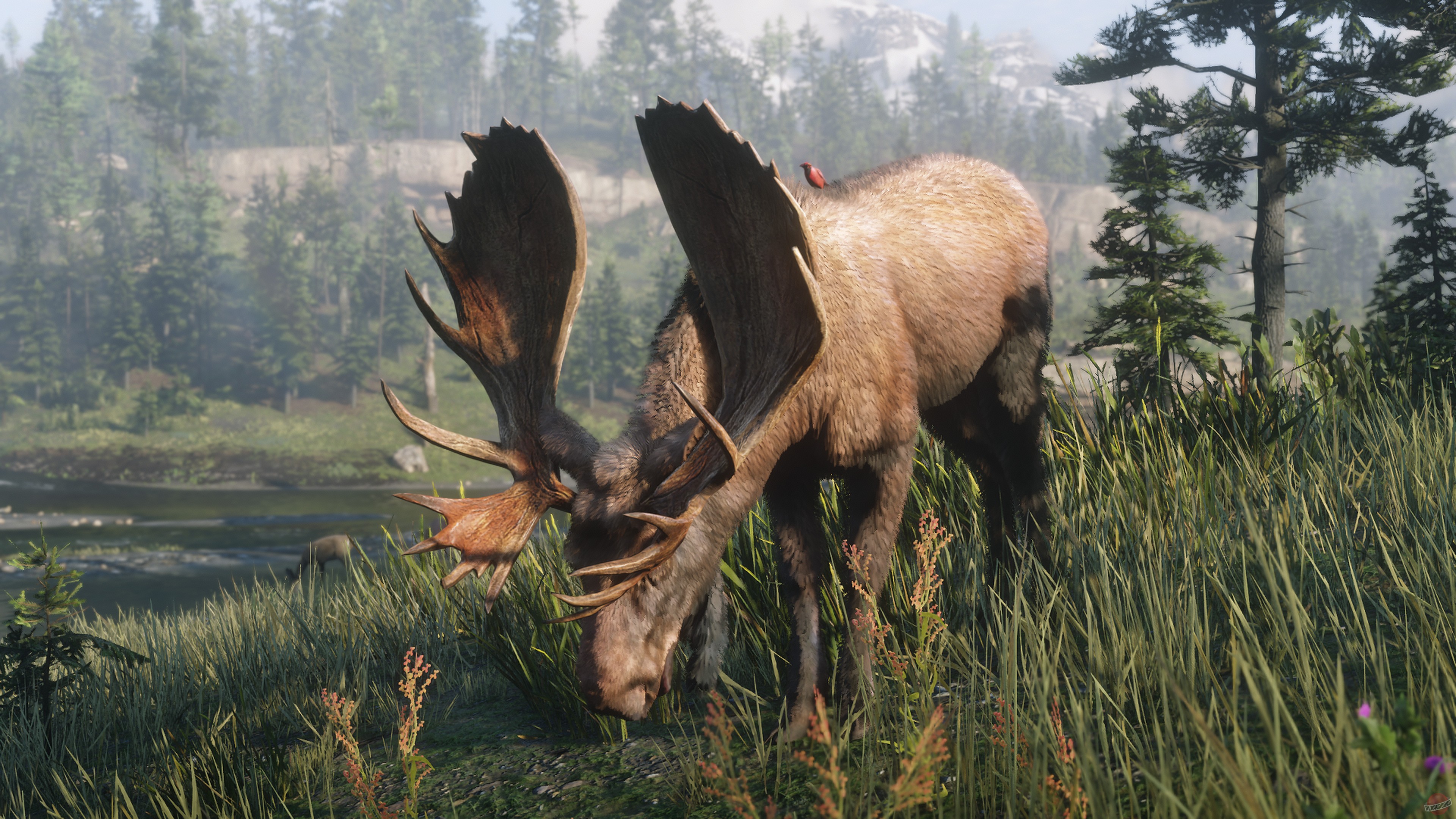 Скриншот из игры Red Dead Redemption 2 - 198