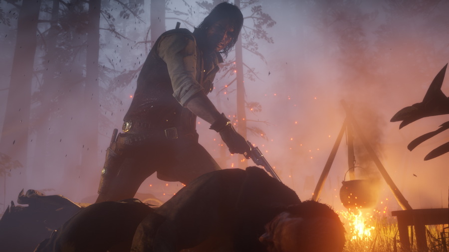 Скриншот из игры Red Dead Redemption 2 - 11