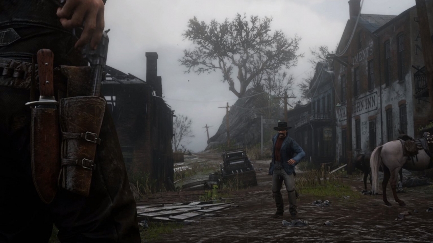 Скриншот из игры Red Dead Redemption 2 - 31