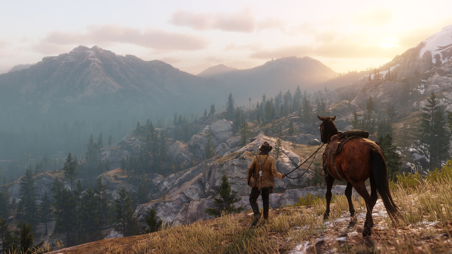 Скриншот из игры Red Dead Redemption 2 - 37
